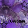 ObsidianSoul