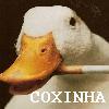 coxinha