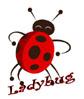 ladybug0504