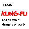 Kung_Fu_Master