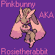 PinkBunny