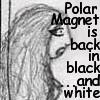 PolarMagnet