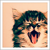kitsu
