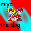 miyathedog